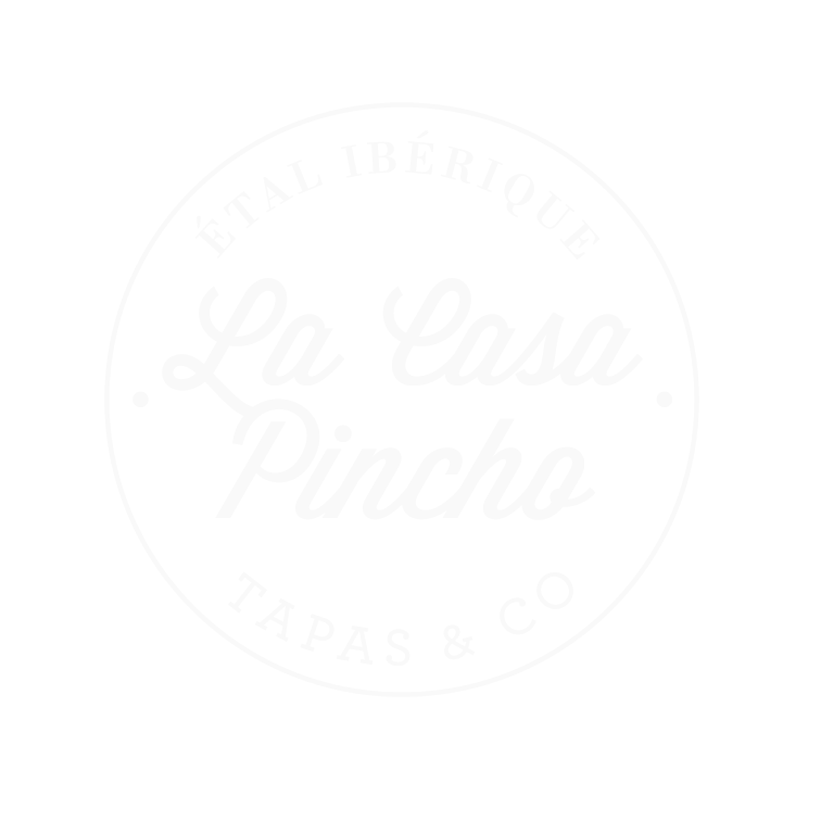 13-CASA-PINCHO_LOGO - Modifié